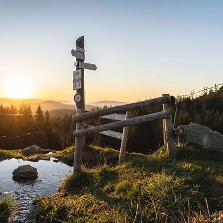 Waldhotel Fehrenbach Hinterzarten Dış mekan fotoğraf