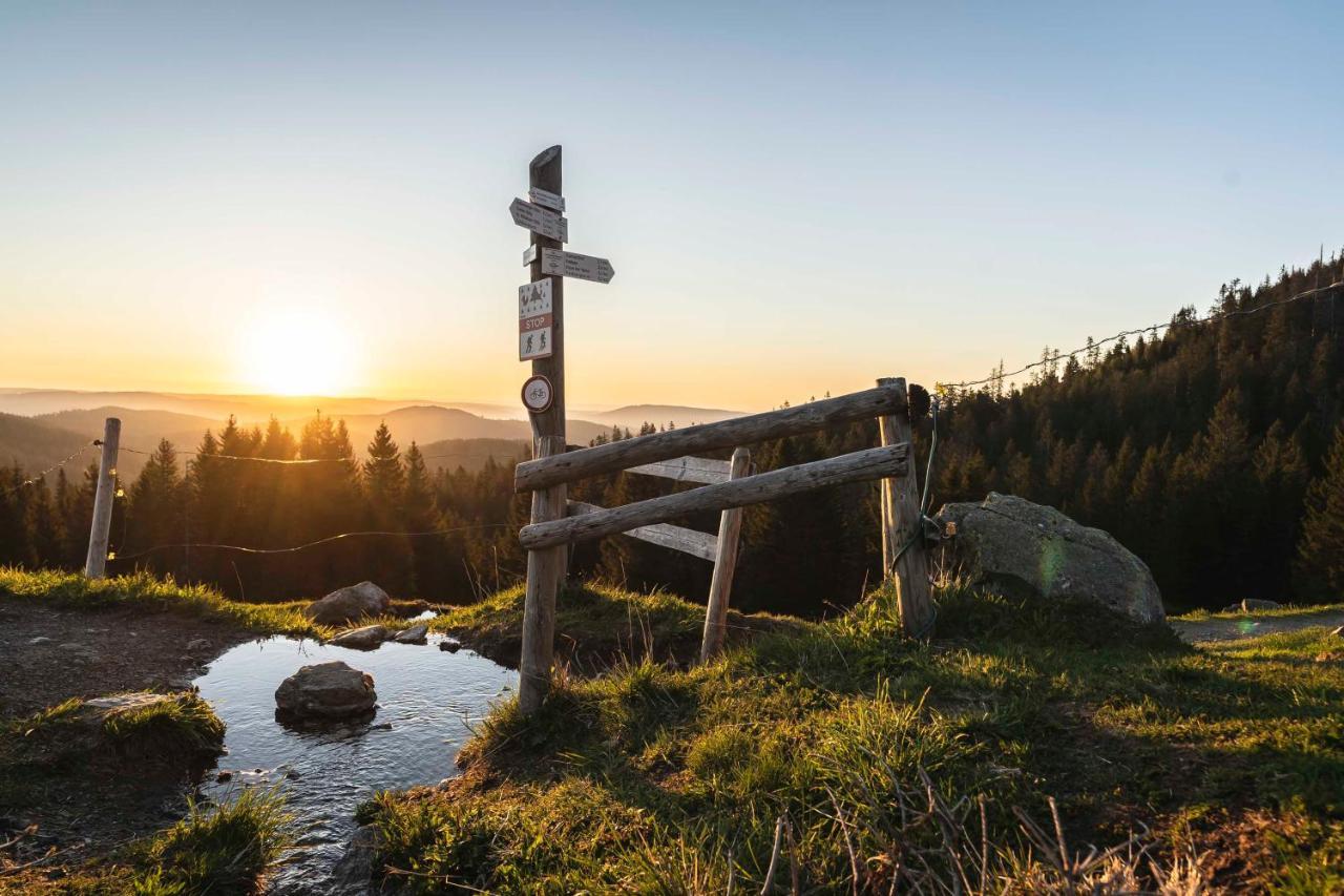 Waldhotel Fehrenbach Hinterzarten Dış mekan fotoğraf
