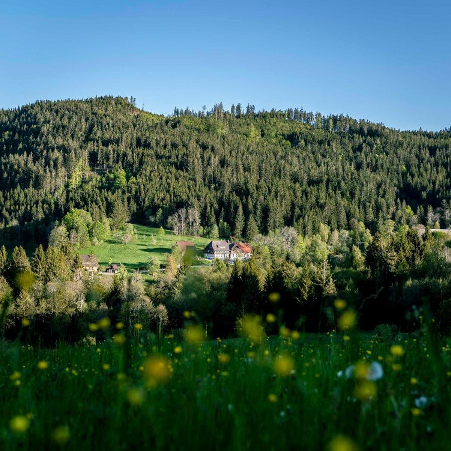 Waldhotel Fehrenbach Hinterzarten Dış mekan fotoğraf